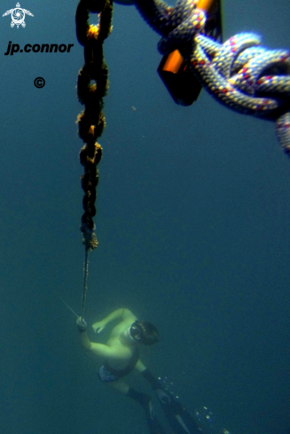 A Freediving