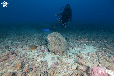 A Yap, micronesia | Stone Money