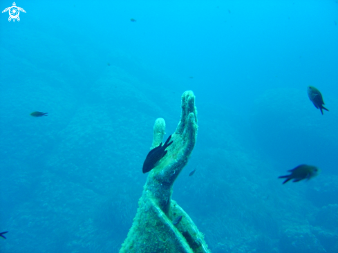 A Cristo degli abissi 3