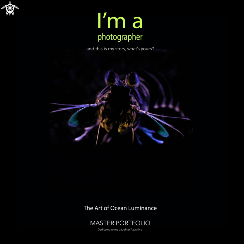 A Stomatopoda | MANTIS SHRIMP