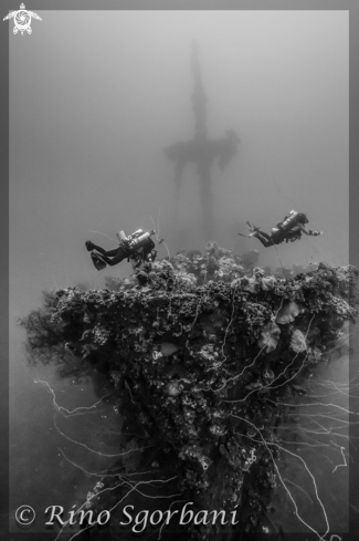 A Seiko Maru Wreck