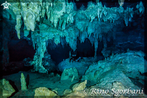 A Cenotes