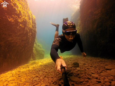 A Freediving