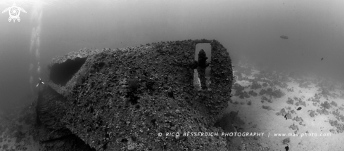 A Wreck of the Dunraven