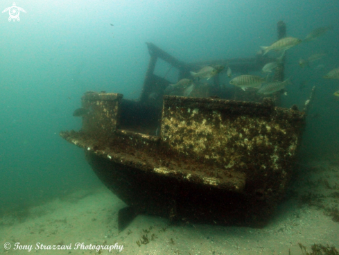 A Cabin cruiser