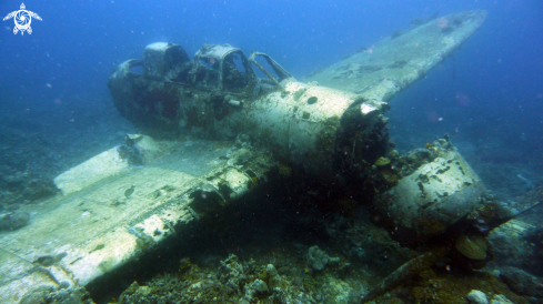 A Jake sea plane