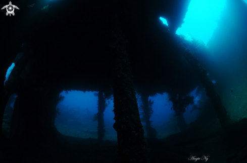A Ship wreck  | Ship wreck 