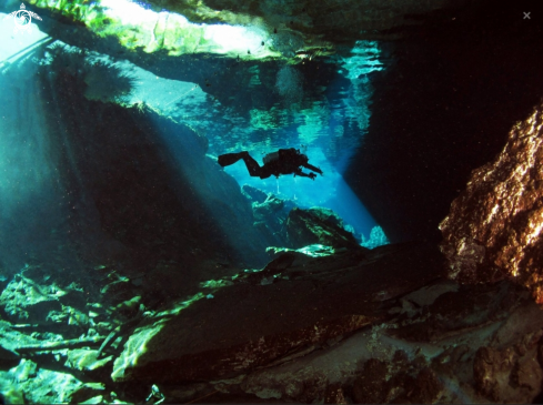 A Cenote Chac Mool