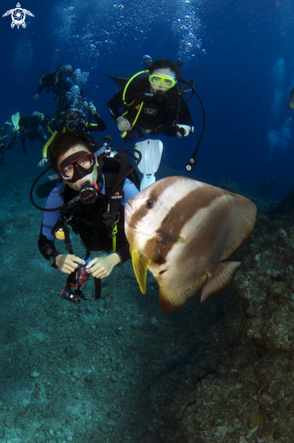 A Bat Fish