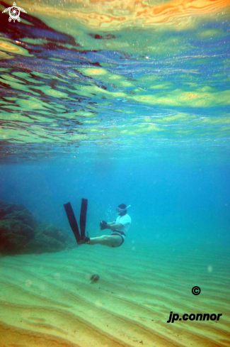 A Freediving