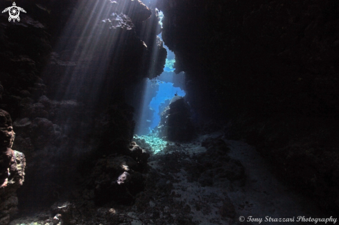 A Deku Dekuru caves