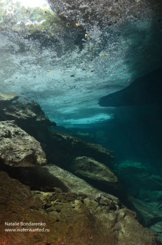 A Cenote