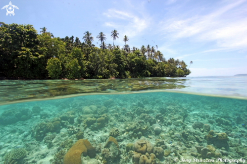 A Njari Island