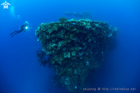 A Fusikawa maru