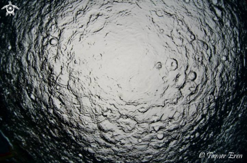 A Raindrop Underwater View