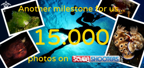 A 15000 photos in our database
