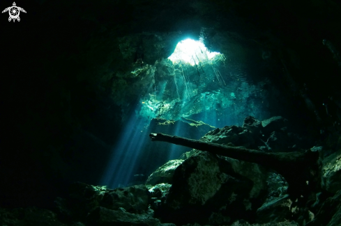 A Cenotes