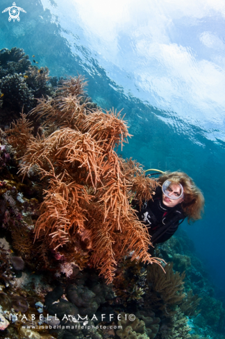 A Reef landscape