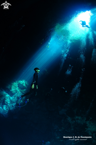 A Cenote - México