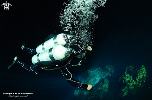 A Cenote - México