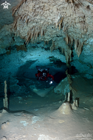 A Speleothems in Caracol cave, Mexico