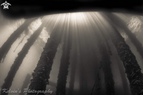 A Wide angle underwater structure