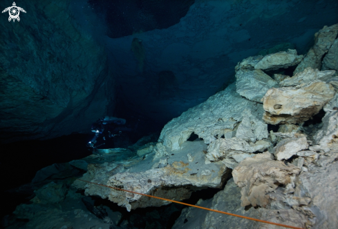 A Cenote