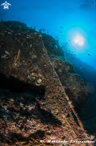 A Abandoned Fisher net