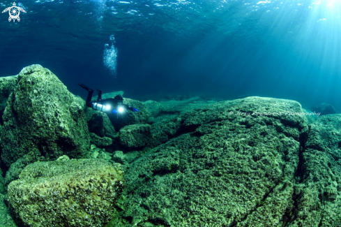 A Under ice & Spring Diving