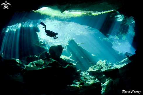 A Cenote Chac Mool