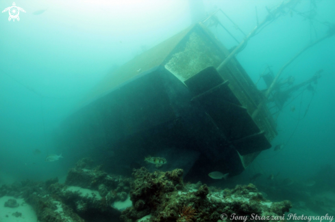 A Stern of sunken yacht