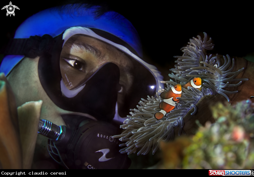 A clownfish & Aris