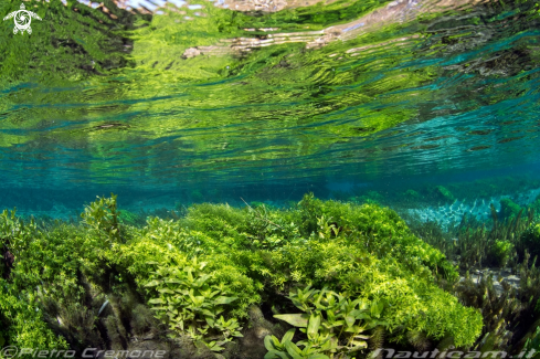 A Il lago di posta Fibreno