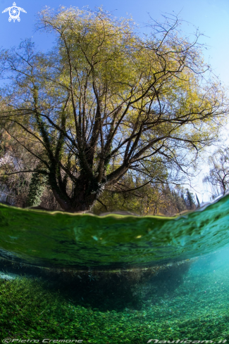 A Il lago di posta Fibreno