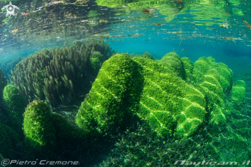 A Il lago di posta Fibreno