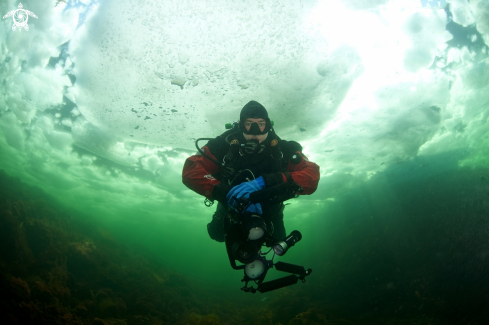 A Scuba diver