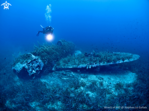 A Wreck Of P47