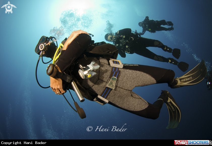 A Divers
