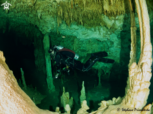 A Cenote Dream Gate