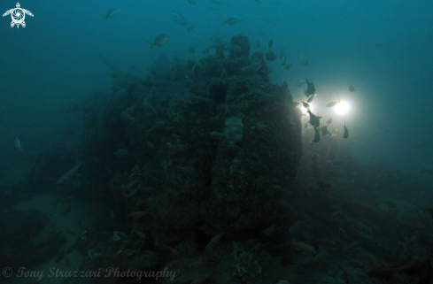 A Bonnie Dundee wreck