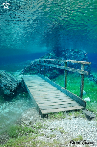 A Wood bridge