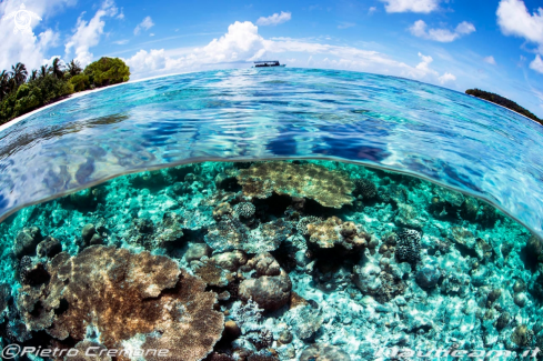 A Maldives scenery