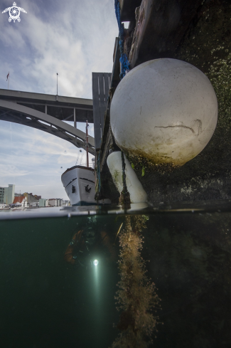 A Haugesund harbour