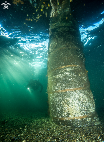 A Scuba diver