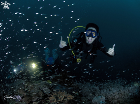 A Glass fish and diver