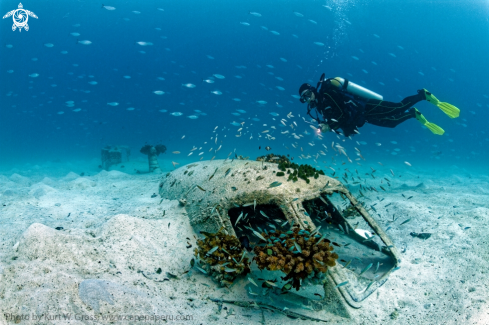 A Airplain Wreck | Wreck