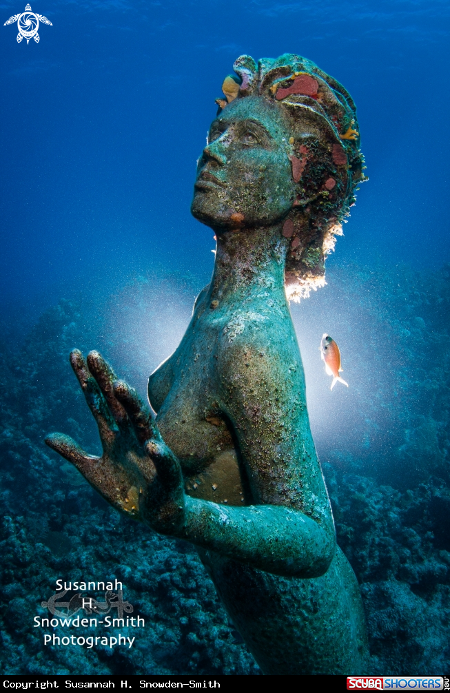 A Mermaid Statue