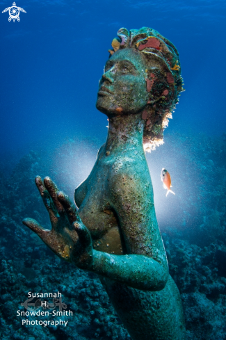 A Mermaid Statue