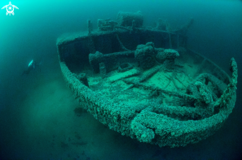 A Bonita Wreck