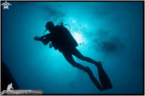 A Profilo subacqueo | Profilo subacqueo